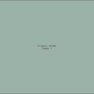 Example Product 1366
