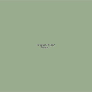 Example Product 1367