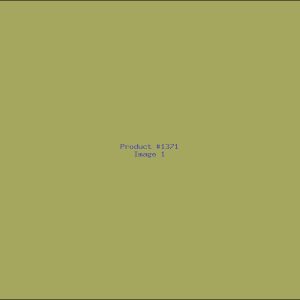 Example Product 1371