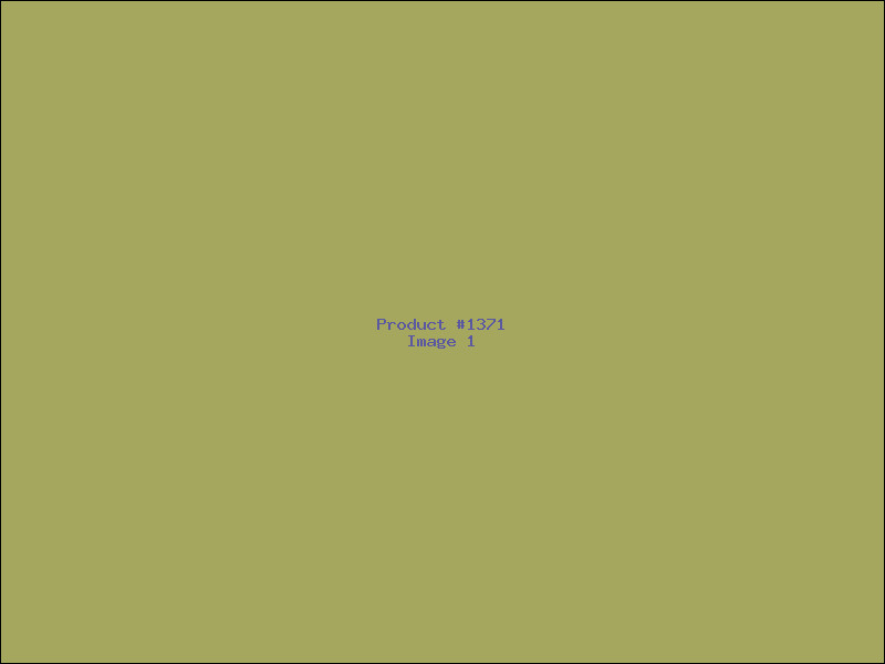 Example Product 1371