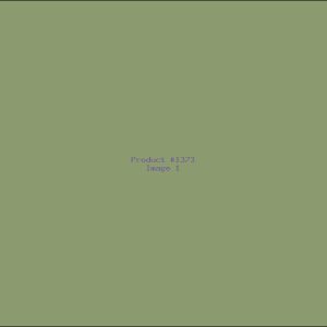 Example Product 1373