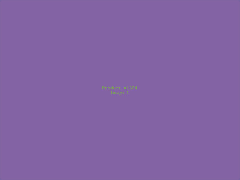 Example Product 1374