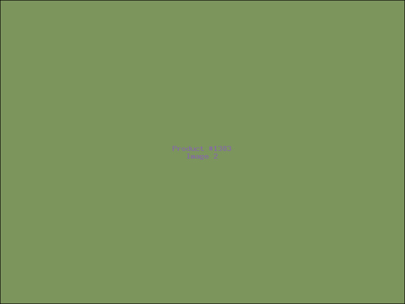 Example Product 1383 - Image 2