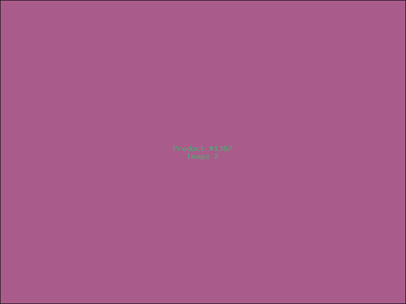 Example Product 1387 - Image 2