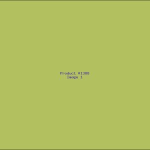 Example Product 1388