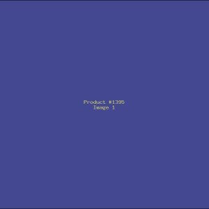 Example Product 1395