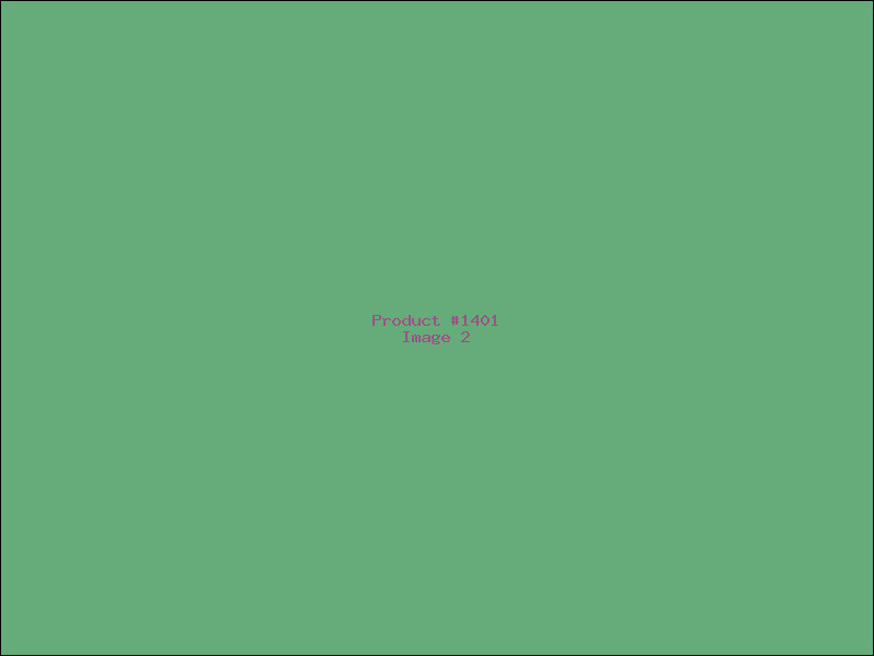 Example Product 1401 - Image 2