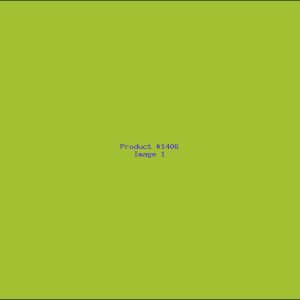 Example Product 1406