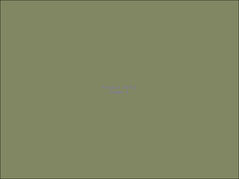 Example Product 1413