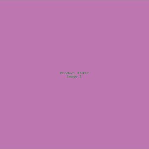 Example Product 1417