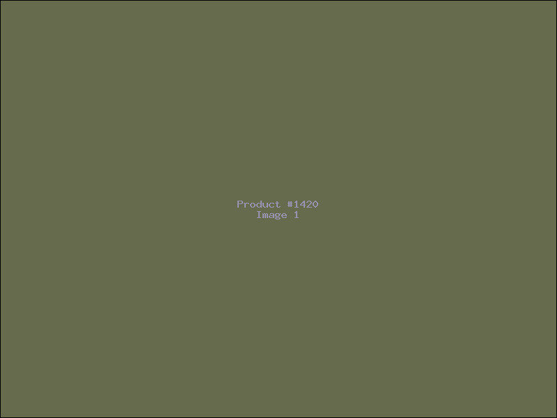 Example Product 1420