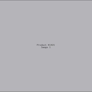 Example Product 1421