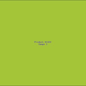 Example Product 1422