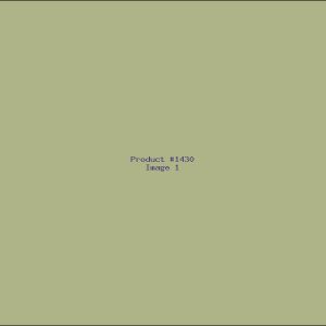 Example Product 1430