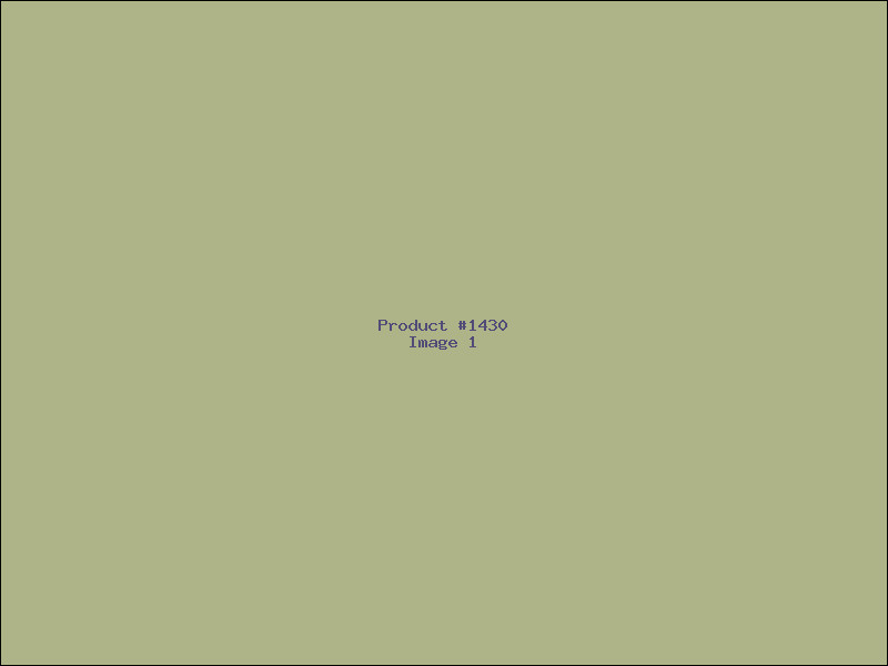Example Product 1430