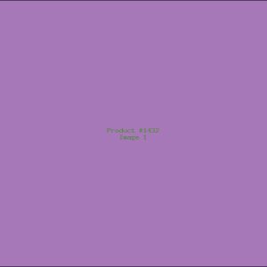 Example Product 1432