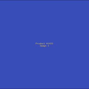 Example Product 1433