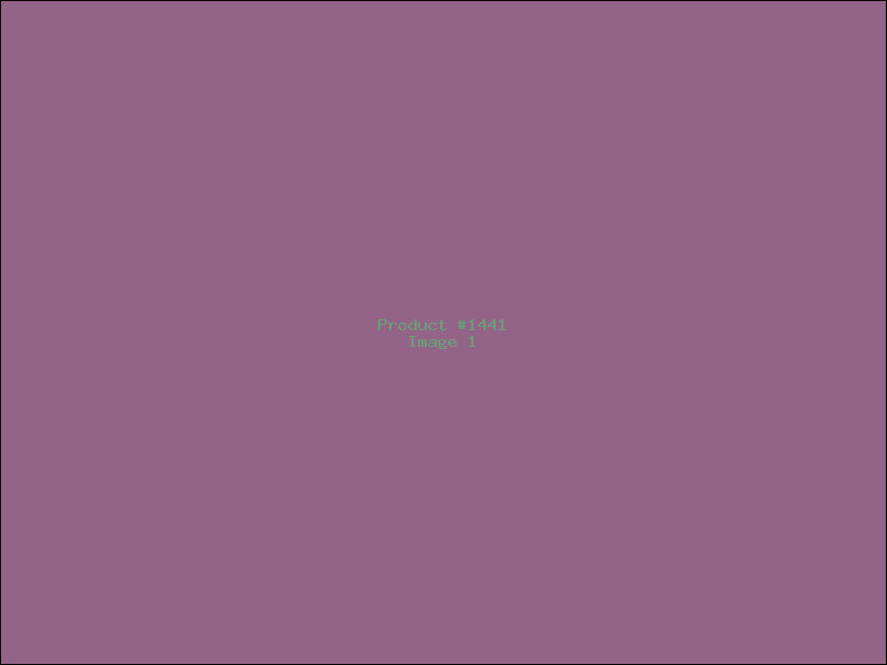Example Product 1441