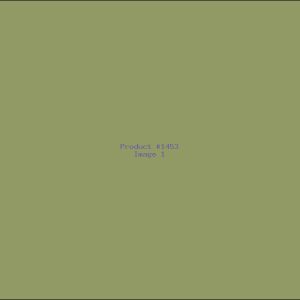 Example Product 1453