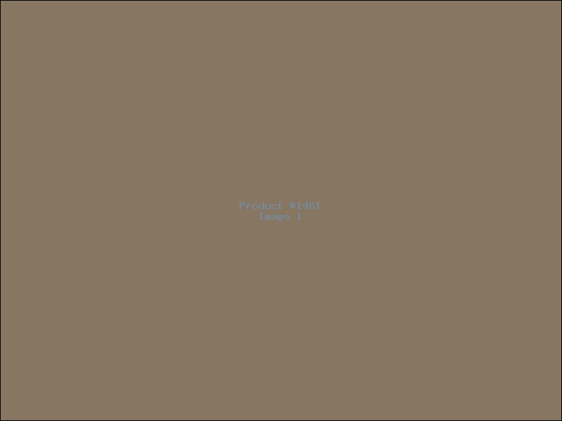 Example Product 1461