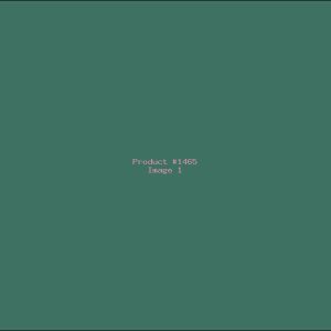 Example Product 1465