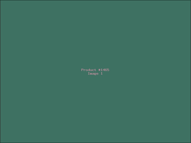 Example Product 1465