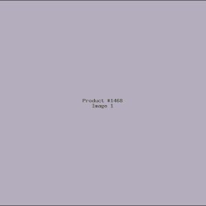 Example Product 1468