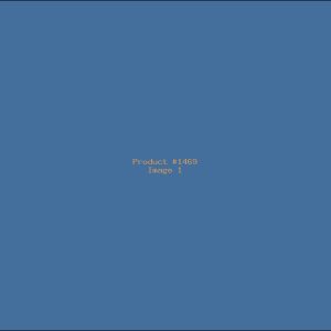 Example Product 1469
