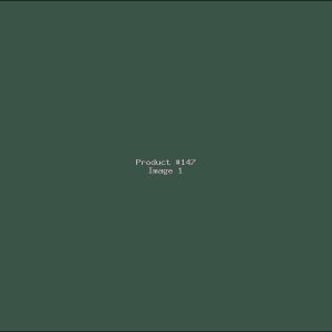 Example Product 147