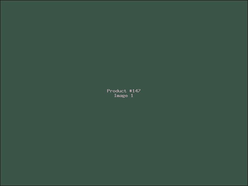 Example Product 147