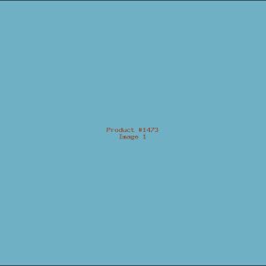 Example Product 1473