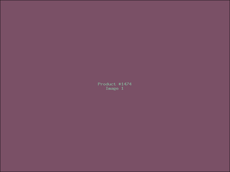 Example Product 1474