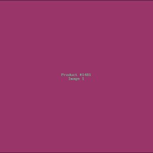 Example Product 1481