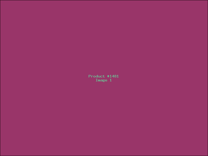 Example Product 1481
