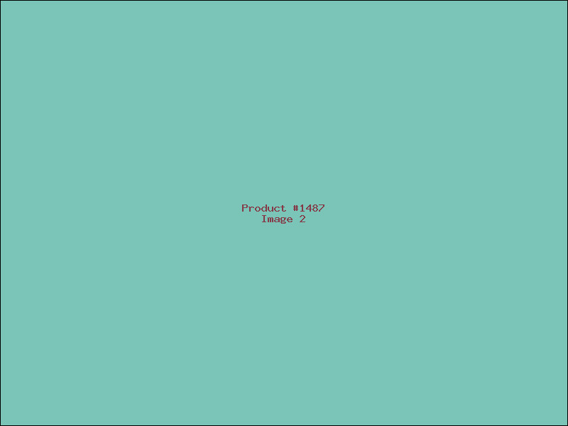 Example Product 1487 - Image 2