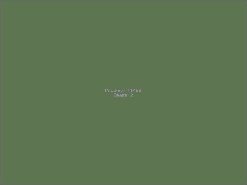 Example Product 1489 - Image 2