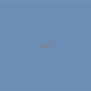 Example Product 1492