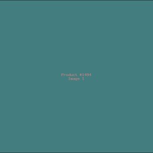 Example Product 1494