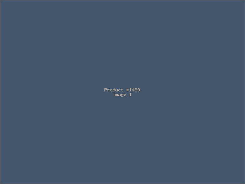 Example Product 1499