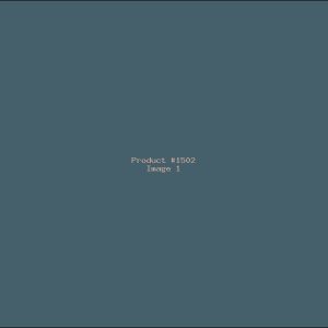 Example Product 1502
