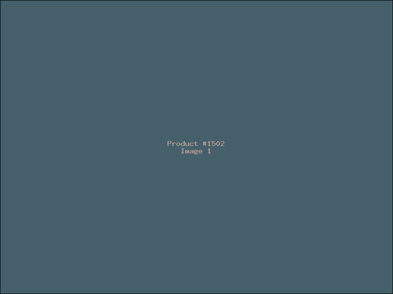 Example Product 1502