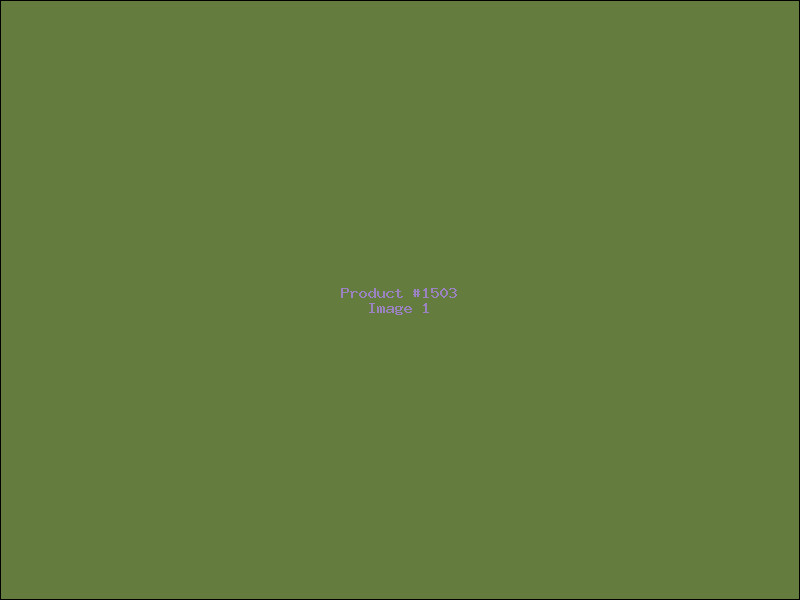 Example Product 1503