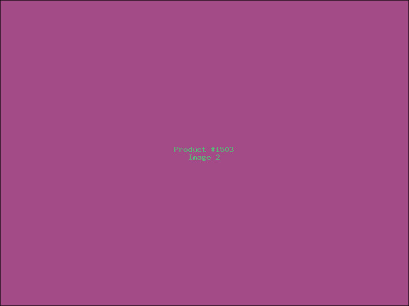 Example Product 1503 - Image 2