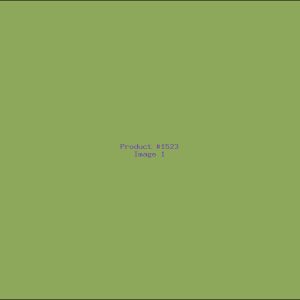 Example Product 1523