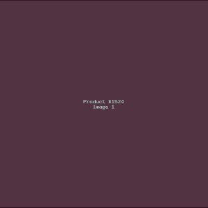 Example Product 1524