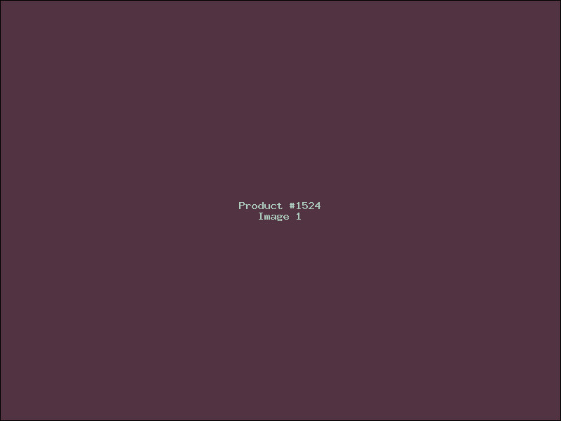 Example Product 1524