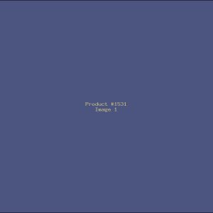 Example Product 1531