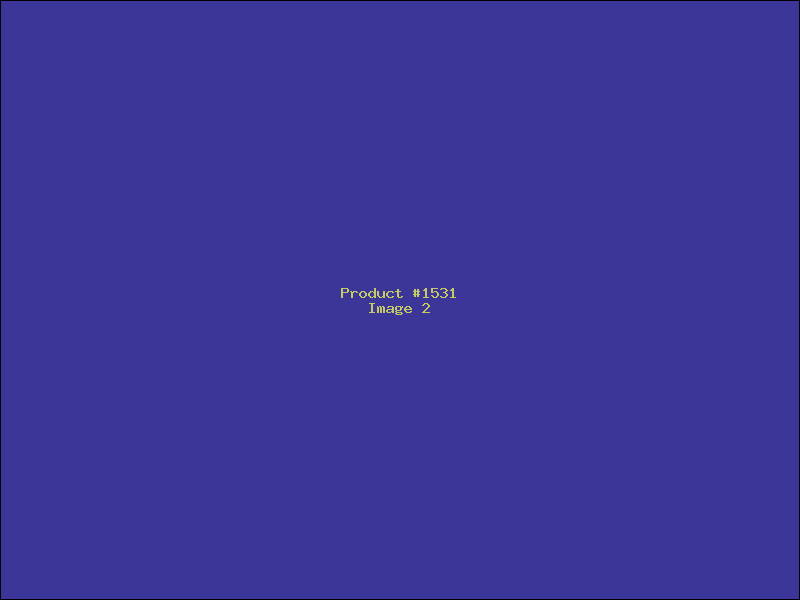Example Product 1531 - Image 2