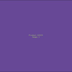 Example Product 1533