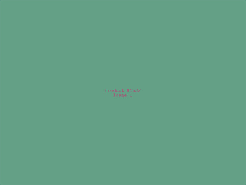 Example Product 1537